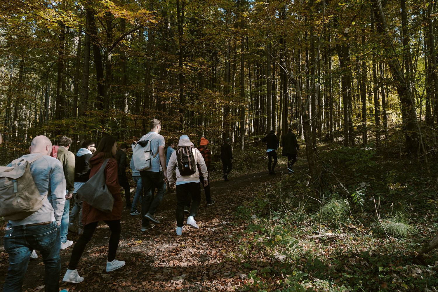 Waldweg zur Klause