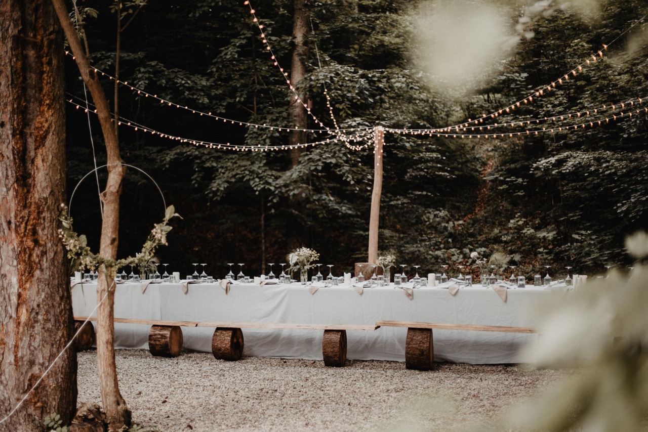 Walddinner — Tafel im Wald